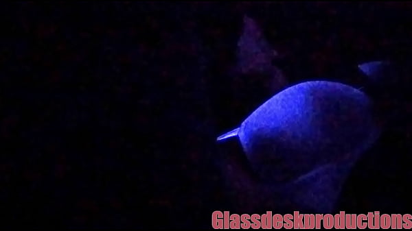 Guess who it is for all her videos , blacklight fun