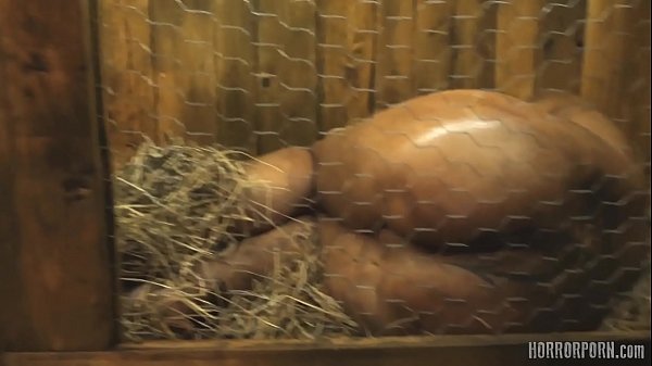 Bizarre rabbit metamorphosis in 4K quality – Free HD Porn Video