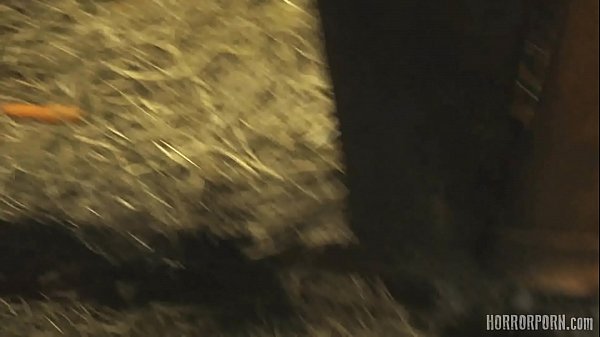 Bizarre rabbit metamorphosis in 4K quality – Free HD Porn Video