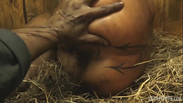 Bizarre rabbit metamorphosis in 4K quality – Free HD Porn Video