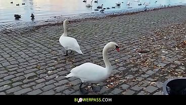 Charlie Dean and his clever friend Matt Bird go to the Vlatva River in Pragu
