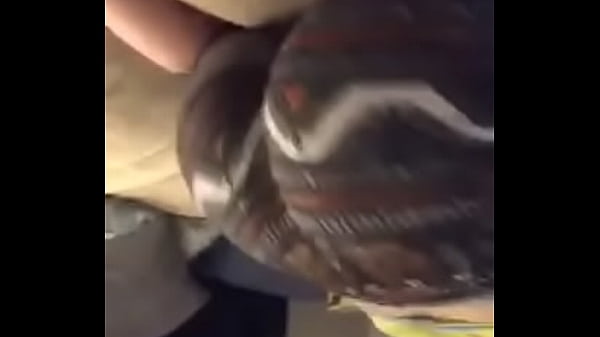 Sexy dancing