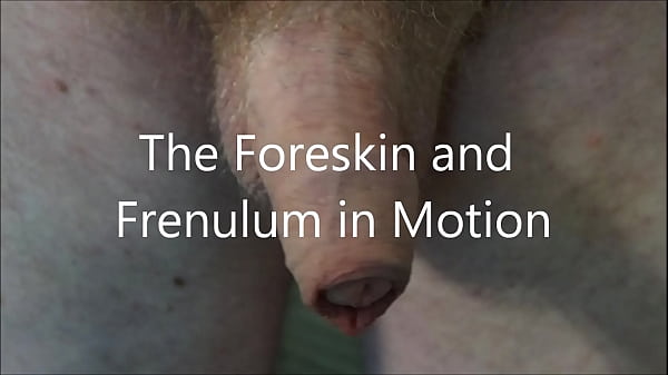 Foreskin Demonstration – Free HD Porn Video