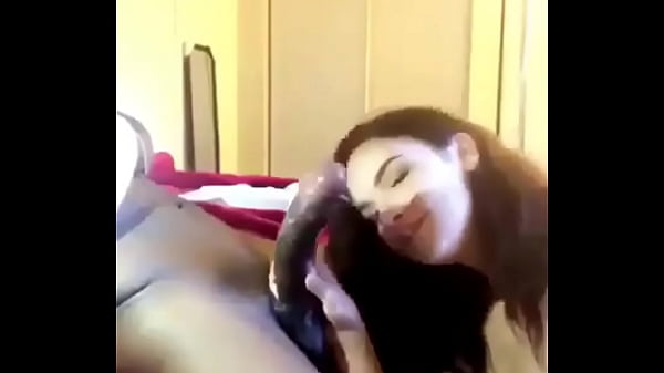 Latina Sucking Big Black Cock like a pro – Free HD Porn Video