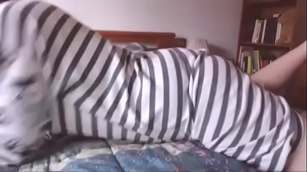 Your futanari girlfriend has a huge big black cock for you to suck – Free HD Porn Video