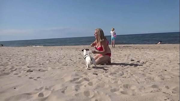 Four-legged friend