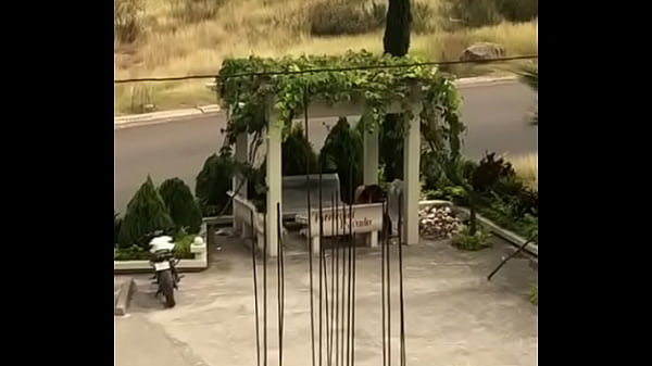 outdoor sex – Free HD Porn Video